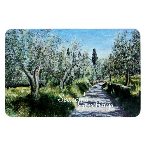 OLIVE TREES IN RIMAGGIO TUSCANY MAGNET