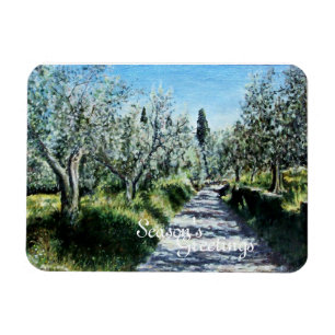 OLIVE TREES IN RIMAGGIO TUSCANY MAGNET
