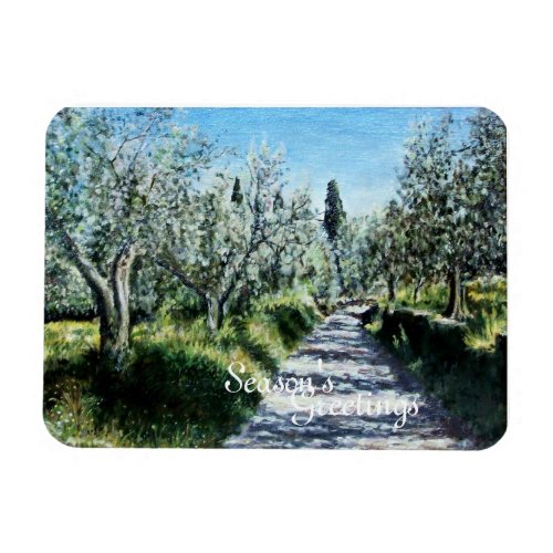 OLIVE TREES IN RIMAGGIO TUSCANY MAGNET