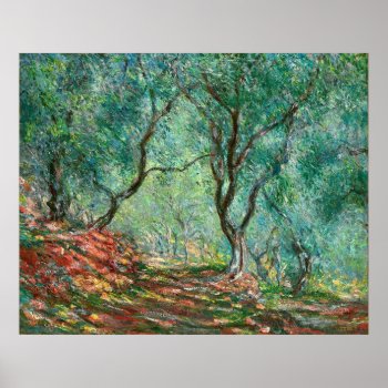 Olive Trees In The Garden Poster by monetart at Zazzle