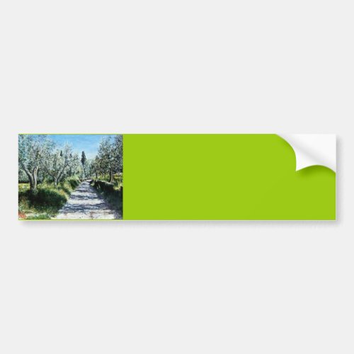 OLIVE TREES IN TUSCANY BUMPER STICKER
