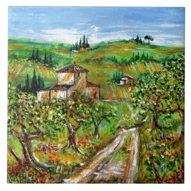OLIVE TREES IN TUSCANY LANDSCAPE CERAMIC TILE (Front)