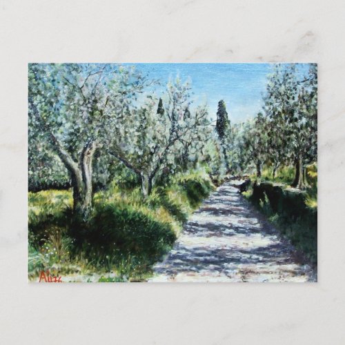 OLIVE TREES IN TUSCANY POSTCARD