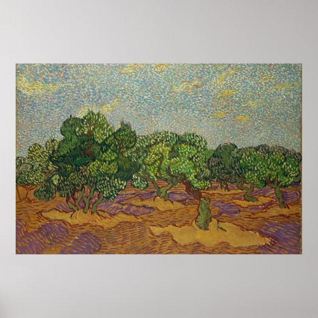 Olive Trees, Van Gogh Poster (Front)
