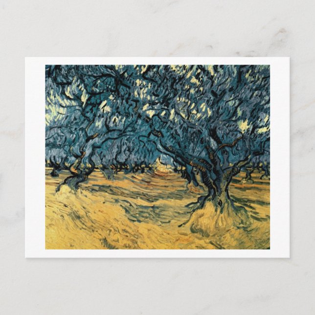 Olive Trees, Vincent van Gogh Postcard (Front)