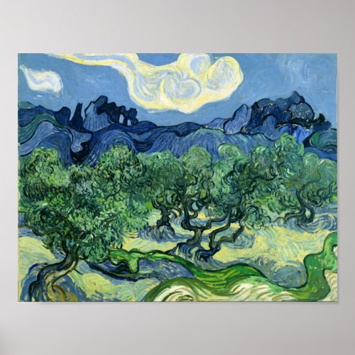 Olive Trees Vincent Van Gogh Poster