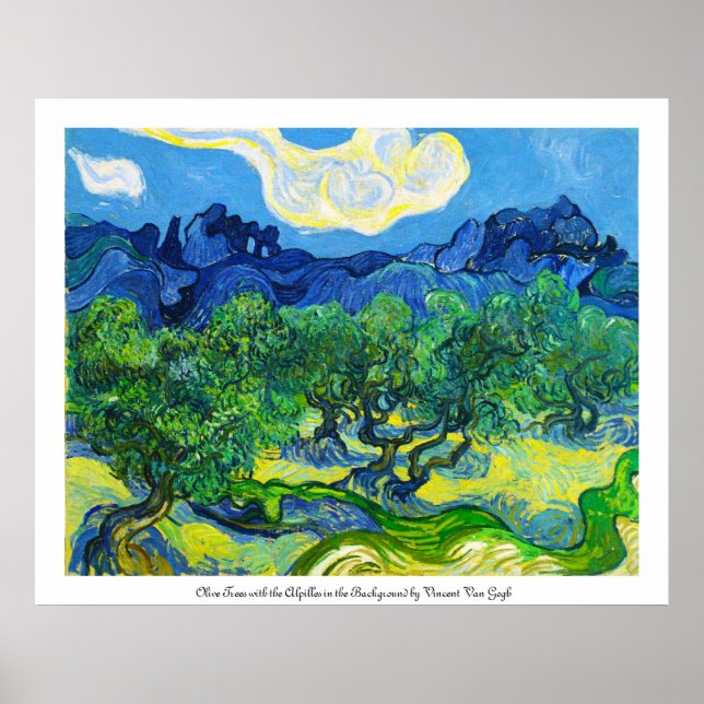 Olive Trees with the Alpilles in the Background Poster (Front)