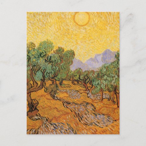 Olive Trees Yellow Sky and Sun Vincent van Gogh Postcard