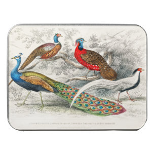 Oliver Goldsmith Famous Painting Common Peacock Jigsaw Puzzle
