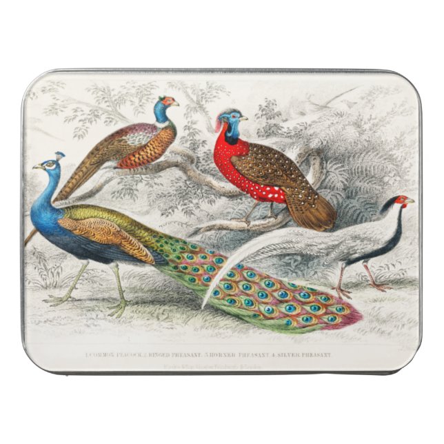 Oliver Goldsmith Famous Painting Common Peacock Jigsaw Puzzle (Case Horizontal)