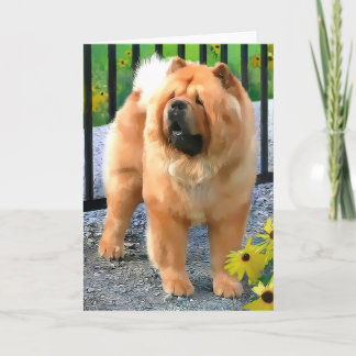 OLIVER heARTdog chow cards