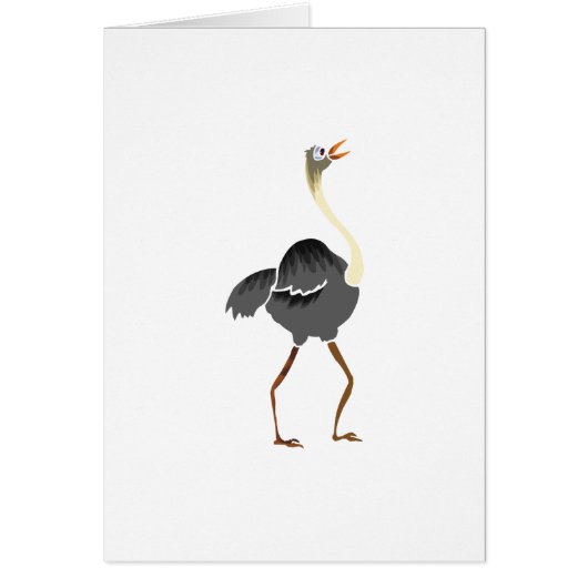 Oliver Ostrich Cards (Front)