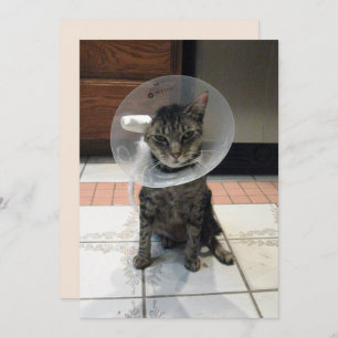 Oliver The Cats Cone of Shame Flat Get Well Card