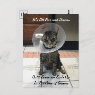 Oliver The Cats Cone of Shame Postcard