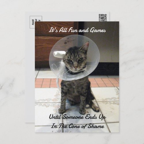 Oliver The Cats Cone of Shame  Postcard