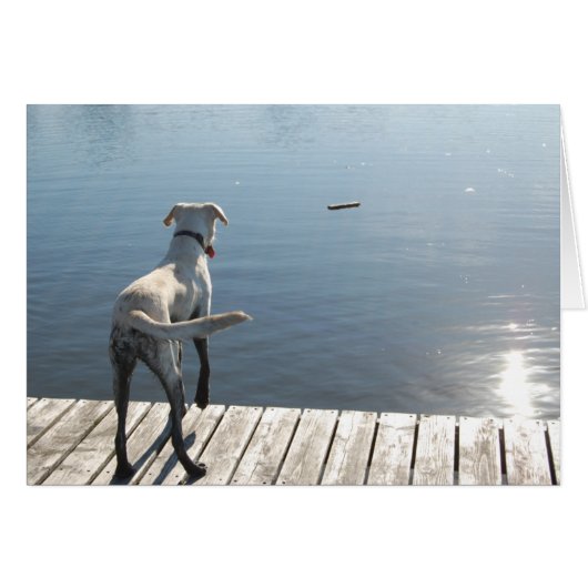Oliver the Golden Lab Cards (Front Horizontal)