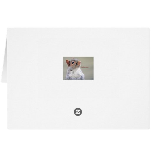 Oliver Twist Squirrel (Back Horizontal)