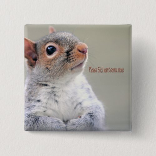 Oliver Twist Squirrel Button