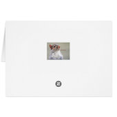 Oliver Twist Squirrel Cards (Back Horizontal)