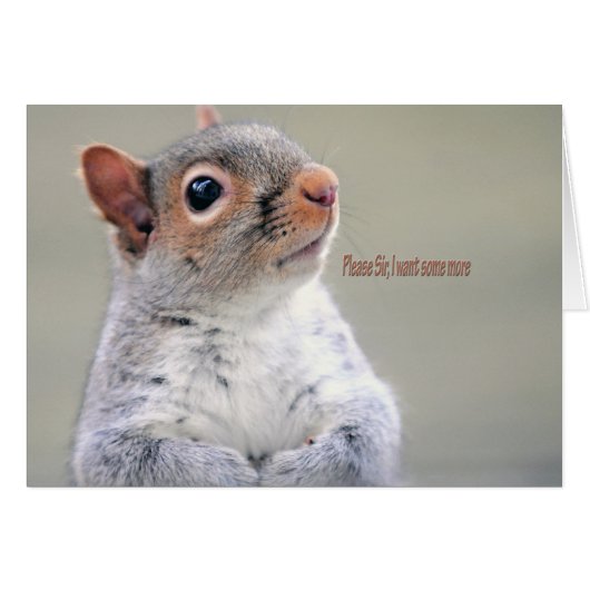 Oliver Twist Squirrel Cards (Front Horizontal)