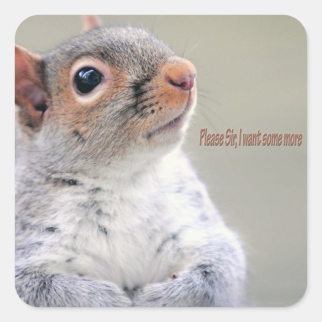 Oliver Twist Squirrel Square Sticker (Front)