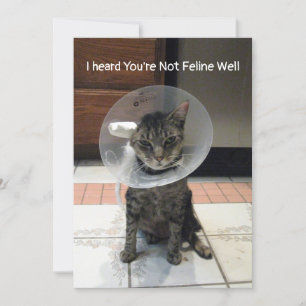 Oliver's Not Feline Well - Cat Get Well Flat Card