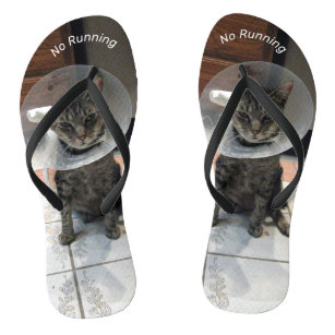 Oliver's Warning - Funny Cat Flip Flops