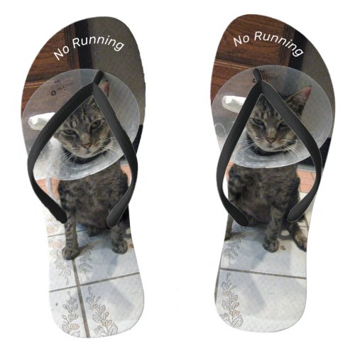 Olivers Warning _ Funny Cat Flip Flops