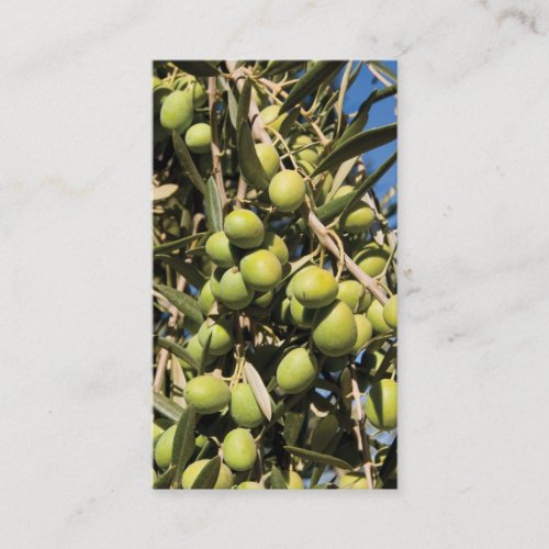Olives business card