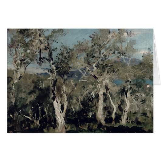 Olives, Corfu, 1912 Cards (Front Horizontal)
