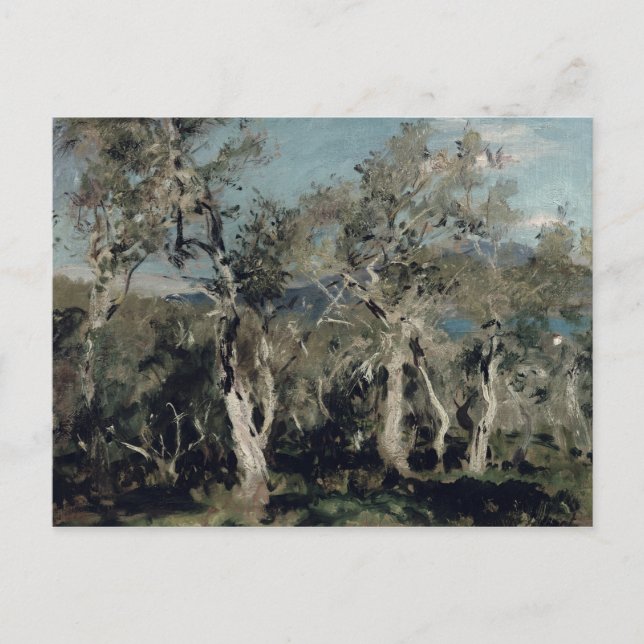 Olives, Corfu, 1912 Postcard (Front)