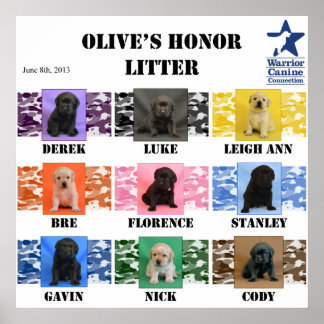 Olive's honor Litter Puppy Poster