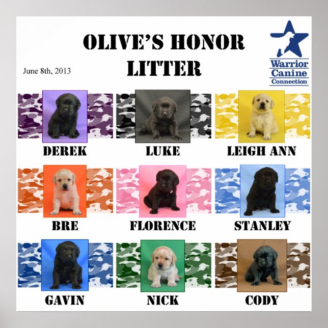 Olive's honor Litter Puppy Poster (Front)