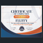 OLK9 Certificate #8<br><div class="desc">OLK9</div>