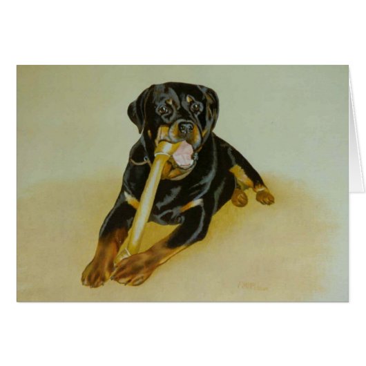 Ollie (Front Horizontal)