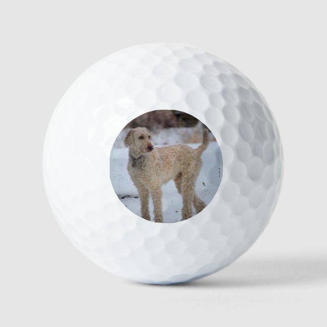 Ollie Golf Balls (Front)