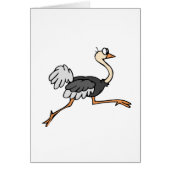 Ollie Ostrich (Front)