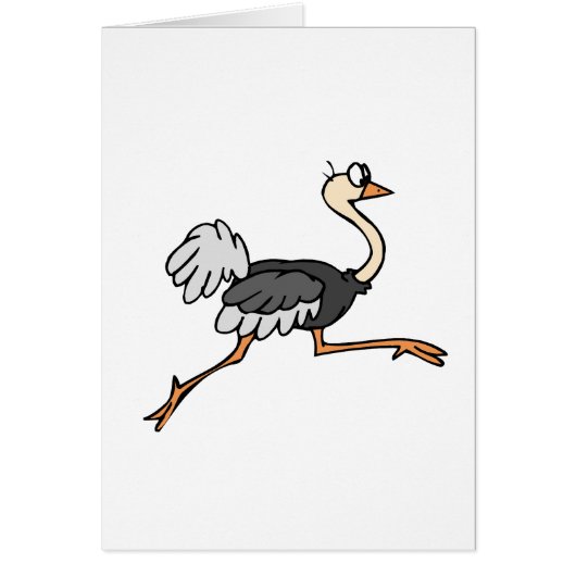 Ollie Ostrich Cards (Front)