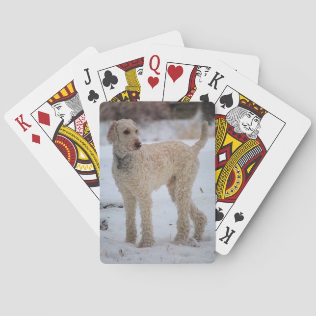 Ollie Poker Cards (Back)