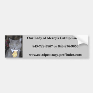 OLM CC Bumper Sticker w/ Panya