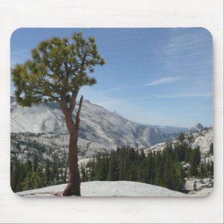 Olmsted Point I at Yosemite National Park Mouse Pad