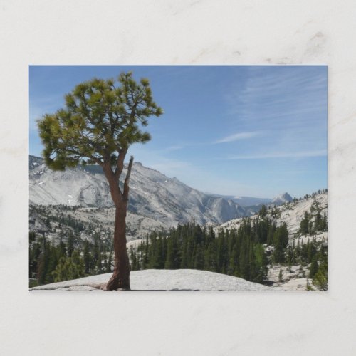 Olmsted Point I at Yosemite National Park Postcard