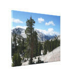 Olmsted Point III in Yosemite National Park Canvas Print