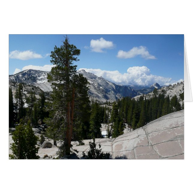 Olmsted Point III in Yosemite National Park Cards (Front Horizontal)