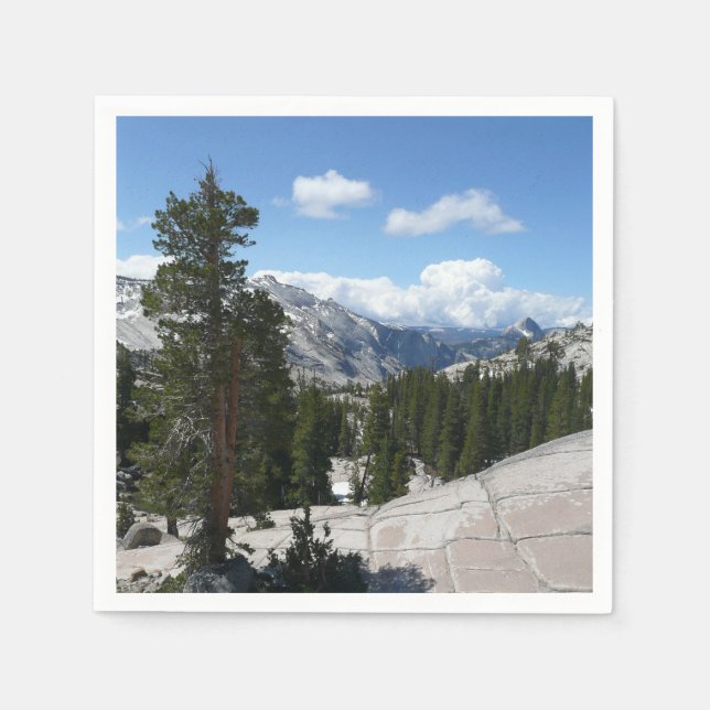 Olmsted Point III in Yosemite National Park Napkins (Front)