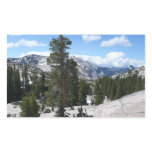Olmsted Point III in Yosemite National Park Rectangular Sticker