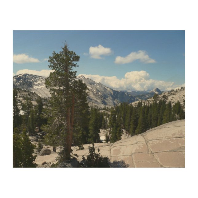 Olmsted Point III in Yosemite National Park Wood Wall Art (Front)
