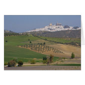 Olvera, Andalusia, Spain (Front Horizontal)