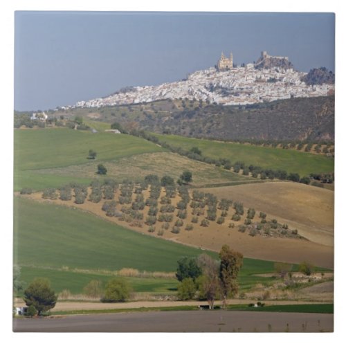 Olvera Andalusia Spain Ceramic Tile