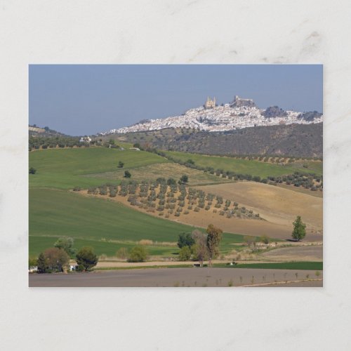 Olvera Andalusia Spain Postcard